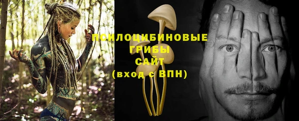 кокс Алзамай