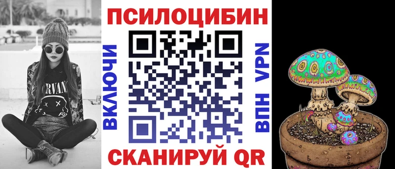 Псилоцибиновые грибы Cubensis закладки Махачкала